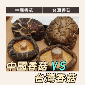 如何分辨中國大陸香菇/台灣香菇呢?