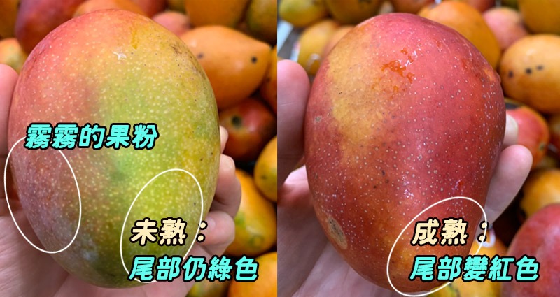 芒果乾的挑選:芒果表面有果粉為佳