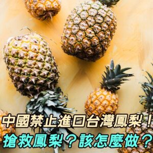 中國禁止進口台灣鳳梨!搶救台灣鳳梨,你應該怎麼做?各種美味吃起來!