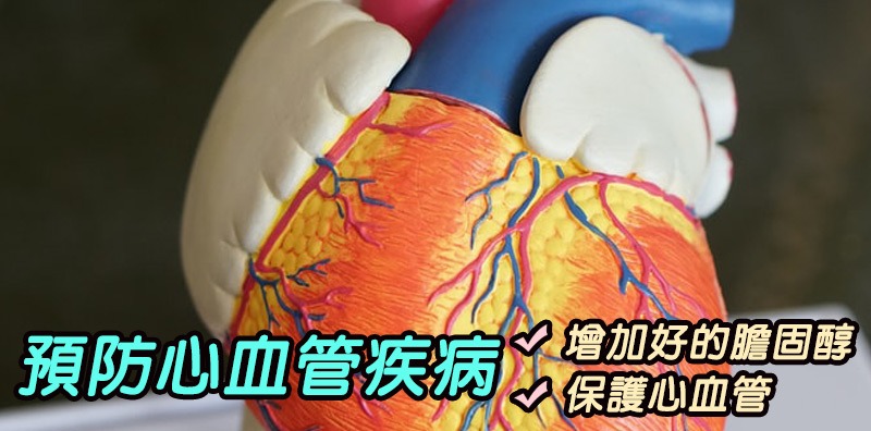 堅果好處2:預防心血管疾病:降低壞膽固醇濃度、保護心血管