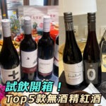 2025無酒精(零酒精)紅酒推薦TOP5品牌，試飲體驗開箱