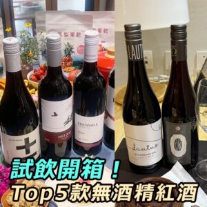 2025無酒精(零酒精)紅酒推薦TOP5品牌,試飲體驗開箱